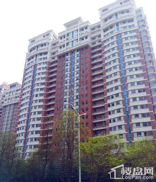 实景图