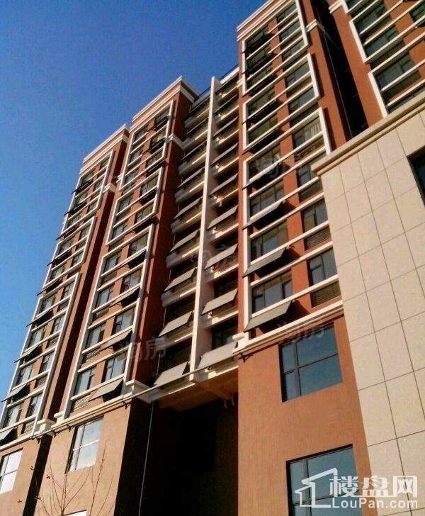 实景图