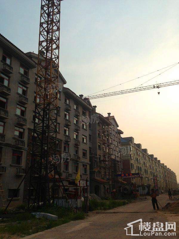嘉汇花溪地实景图