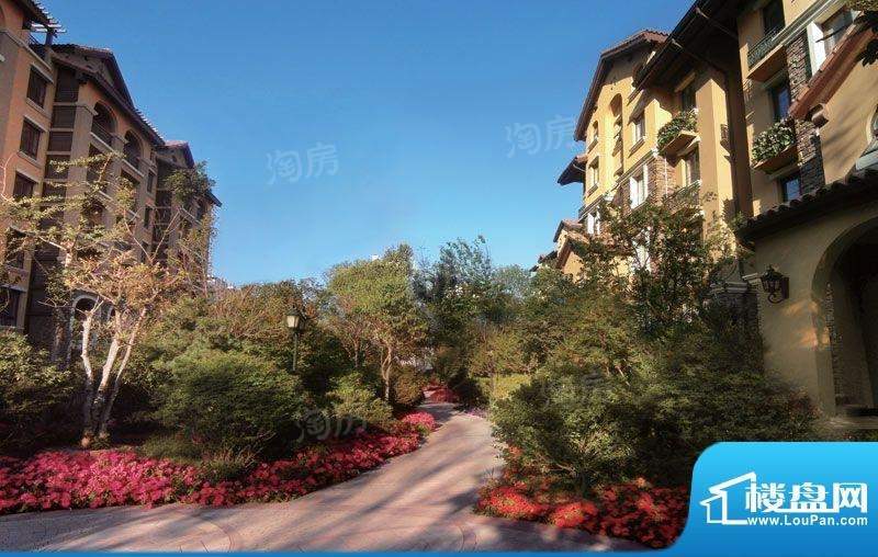 嘉汇花溪地实景图