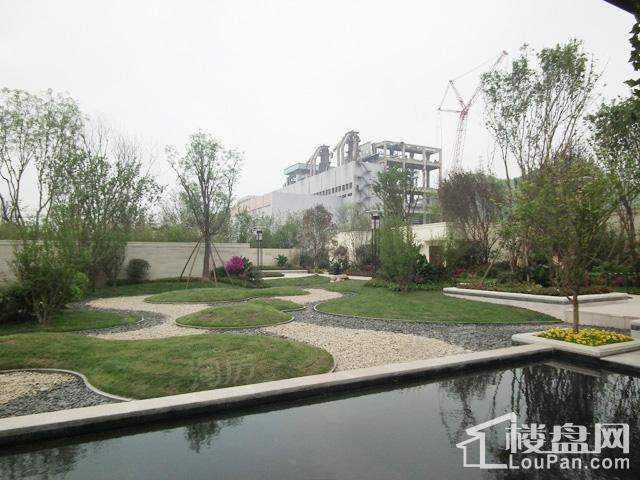 保利凤凰湾实景图