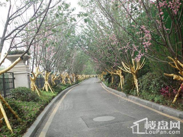 周边配套图