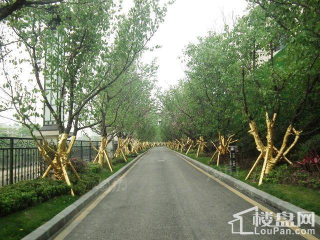 周边配套图