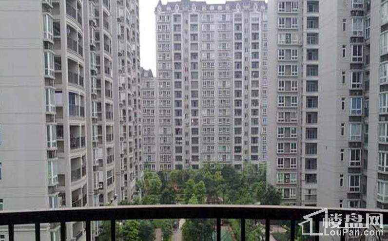 实景图