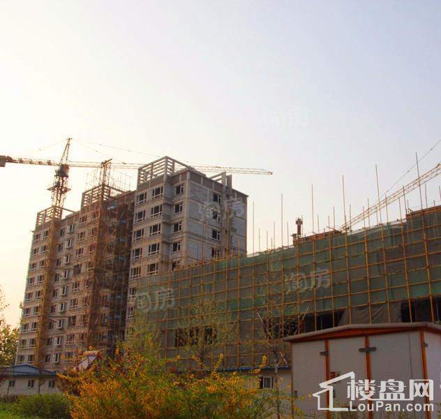 凤山晓筑实景图