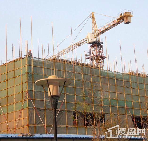 凤山晓筑实景图