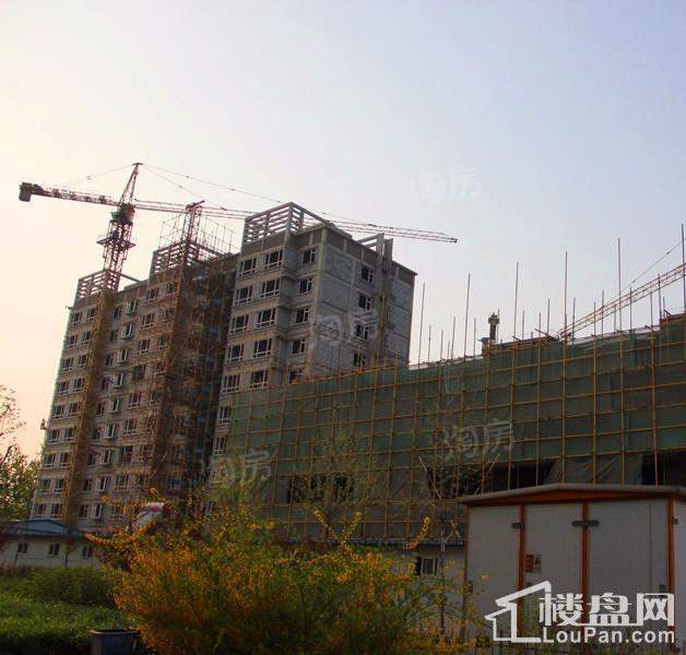 凤山晓筑实景图