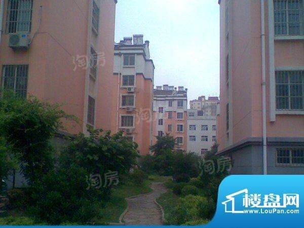 龙凤花园实景图