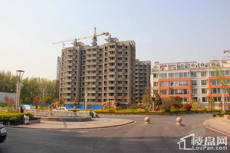 实景图