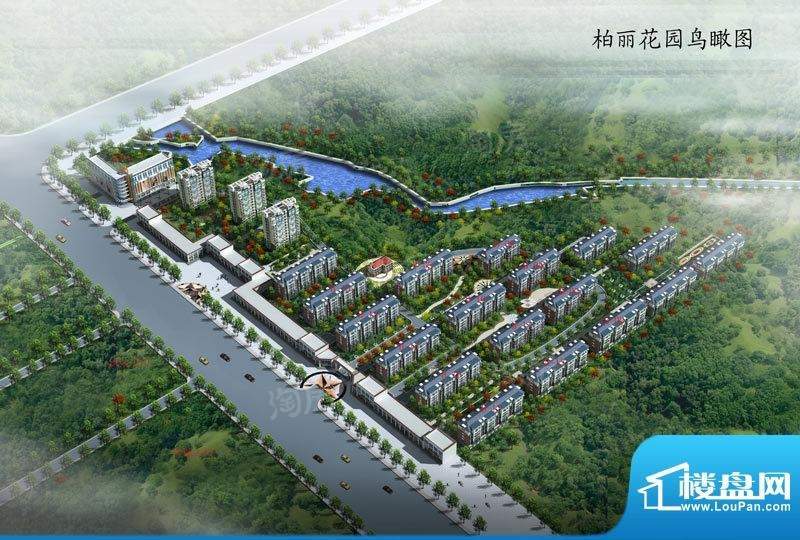 效果图