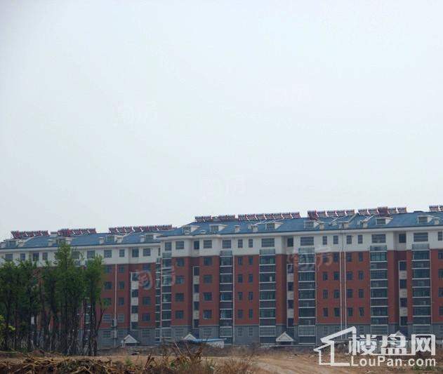 柏丽花园实景图