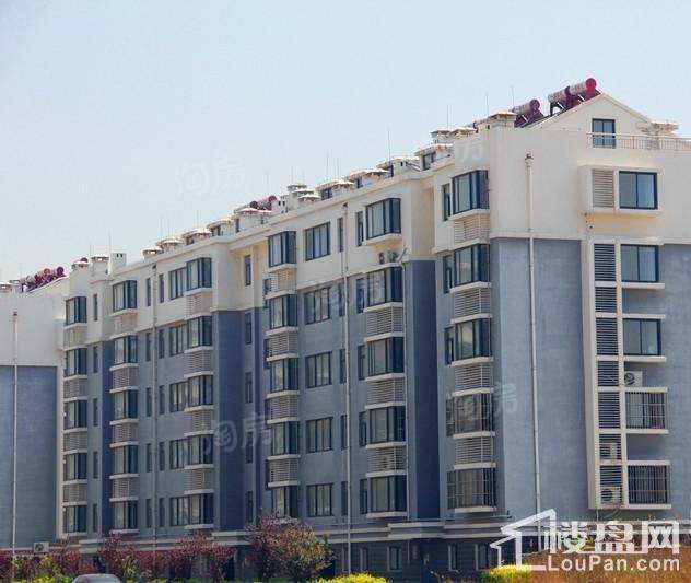 滨海花园实景图