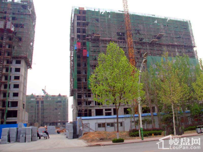 绿洲华庭实景图
