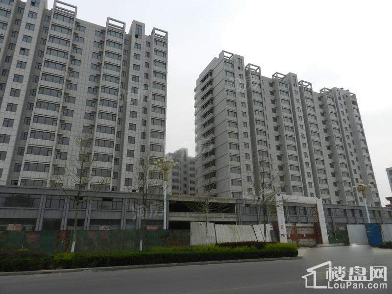 金色龙泉实景图