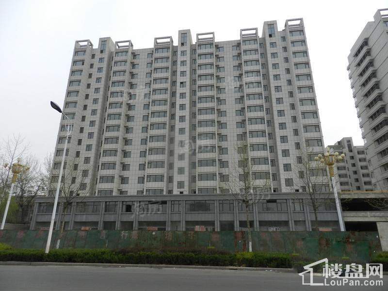 金色龙泉实景图