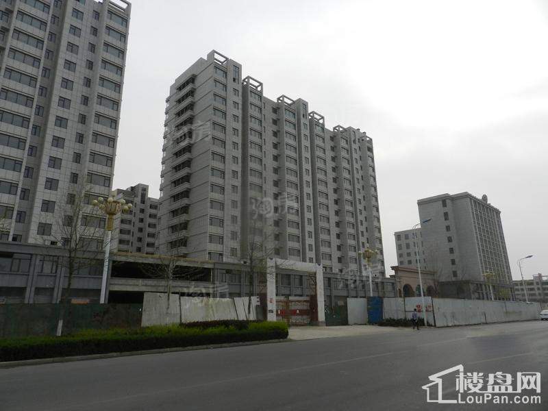 金色龙泉实景图