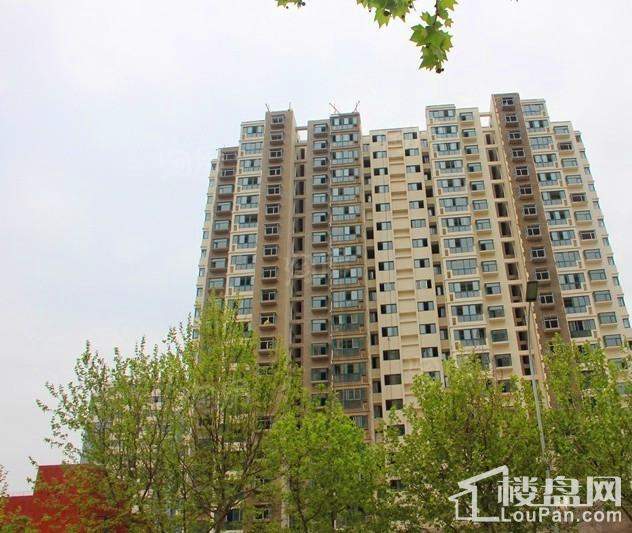 宜辉现代城实景图