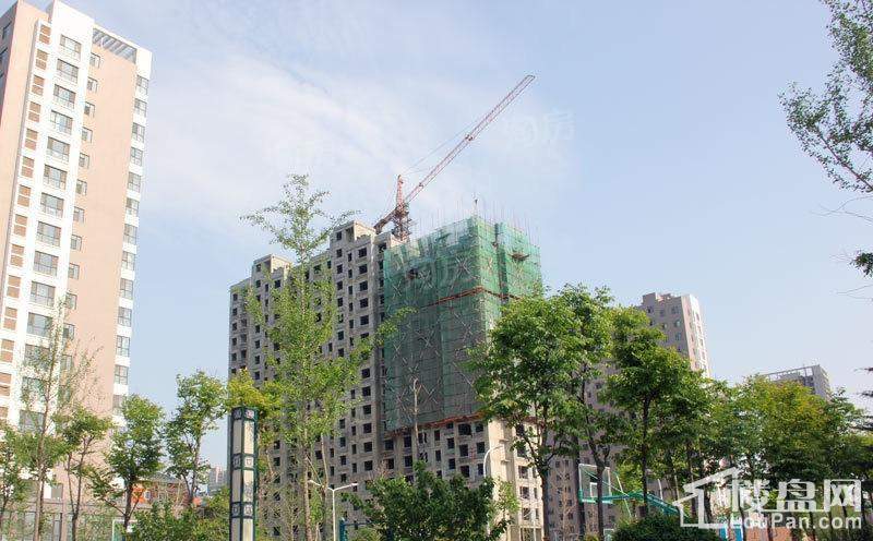金马怡园实景图