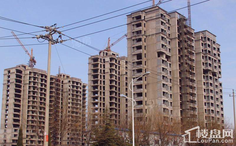 宏鼎凡尔赛丽都实景图