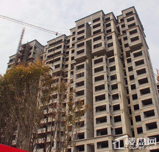 宏鼎凡尔赛丽都实景图