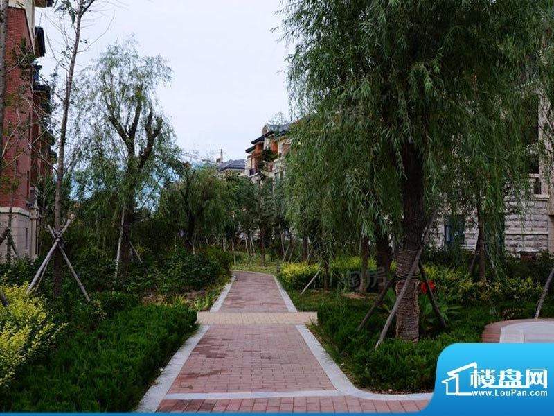 达美水岸实景图