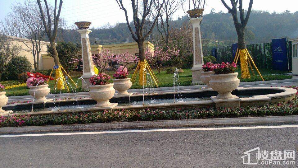 恒大照母山实景图