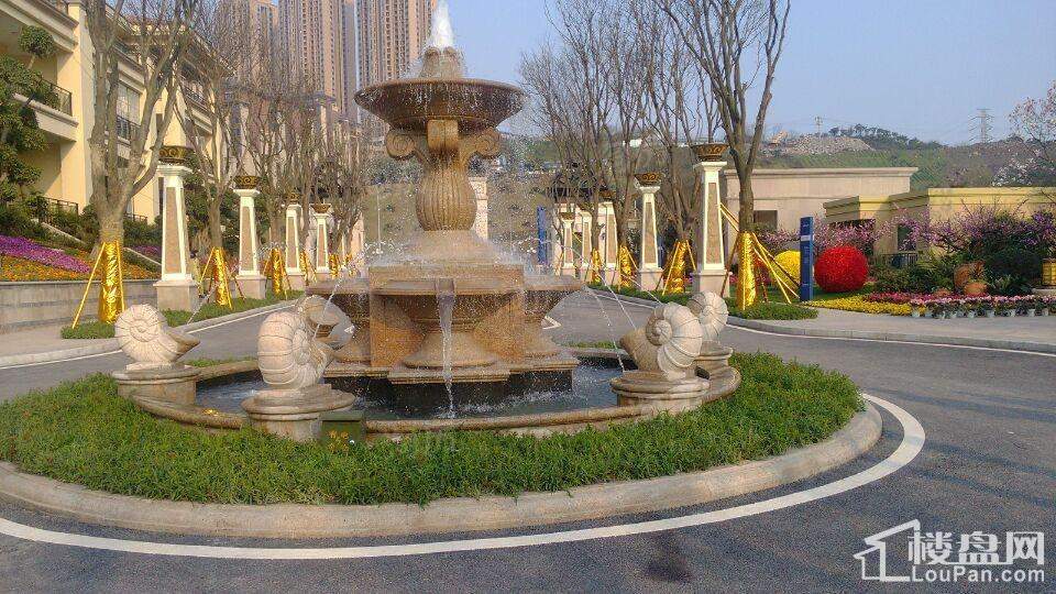实景图