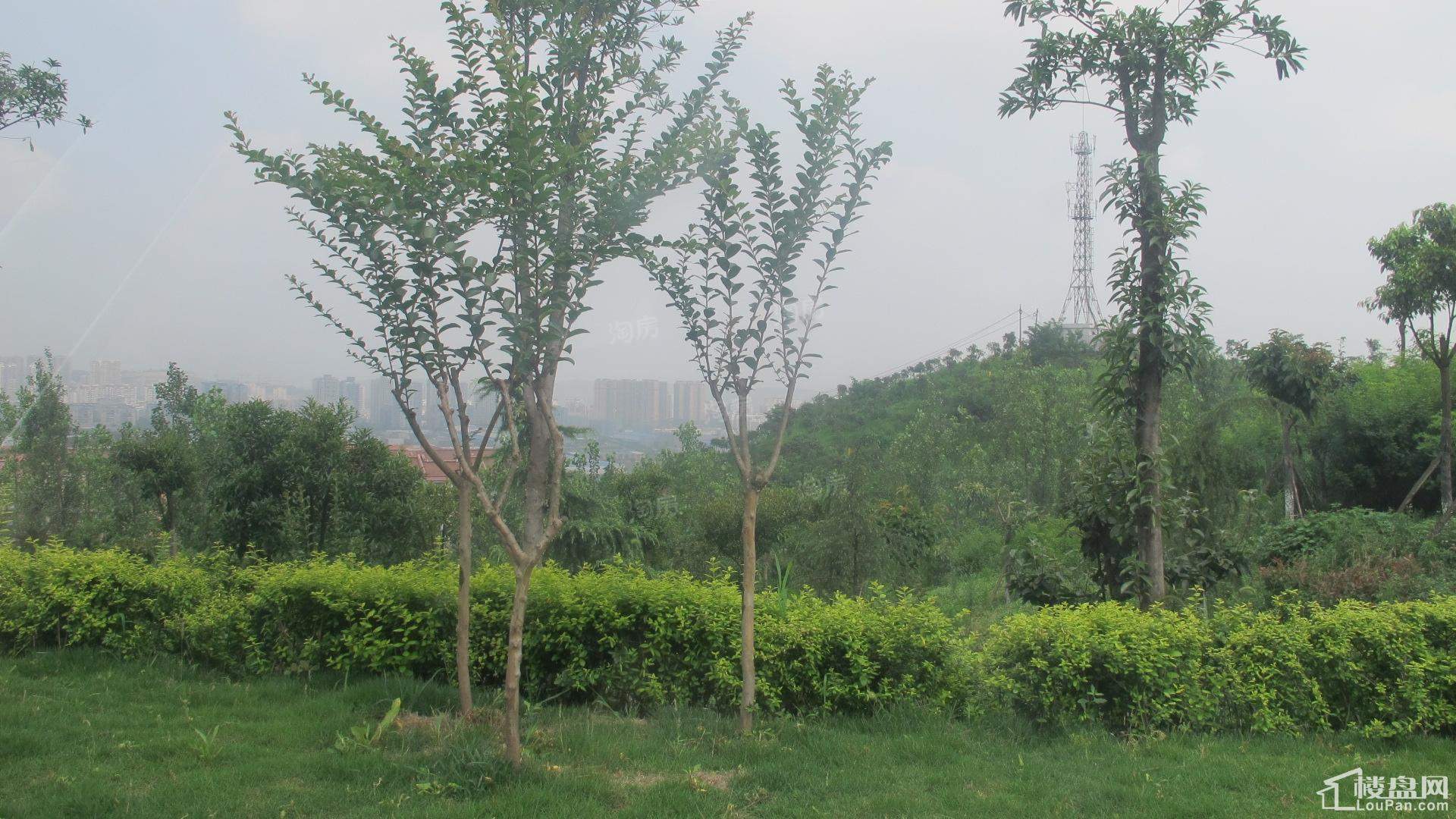 建工悦城实景图