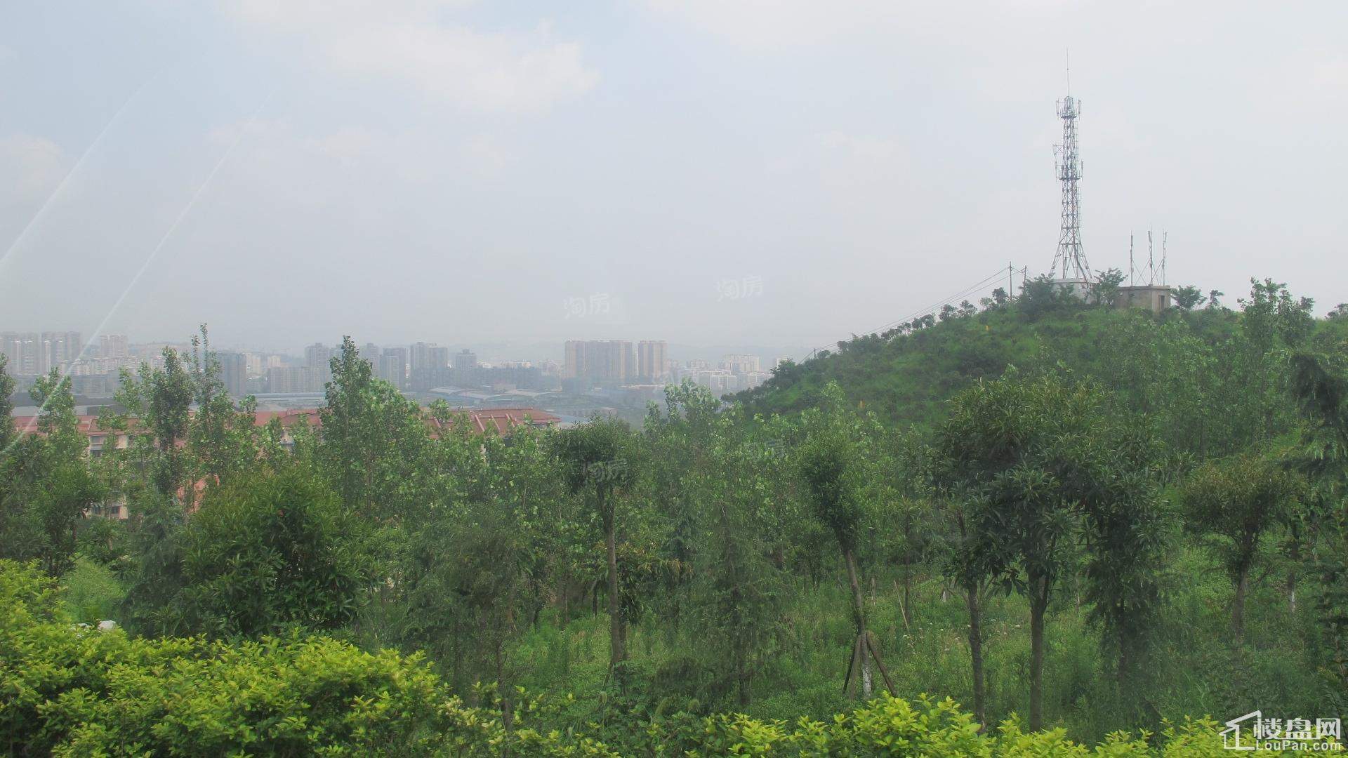 建工悦城实景图