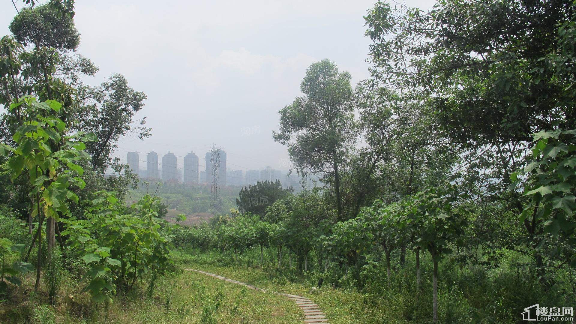 建工悦城实景图