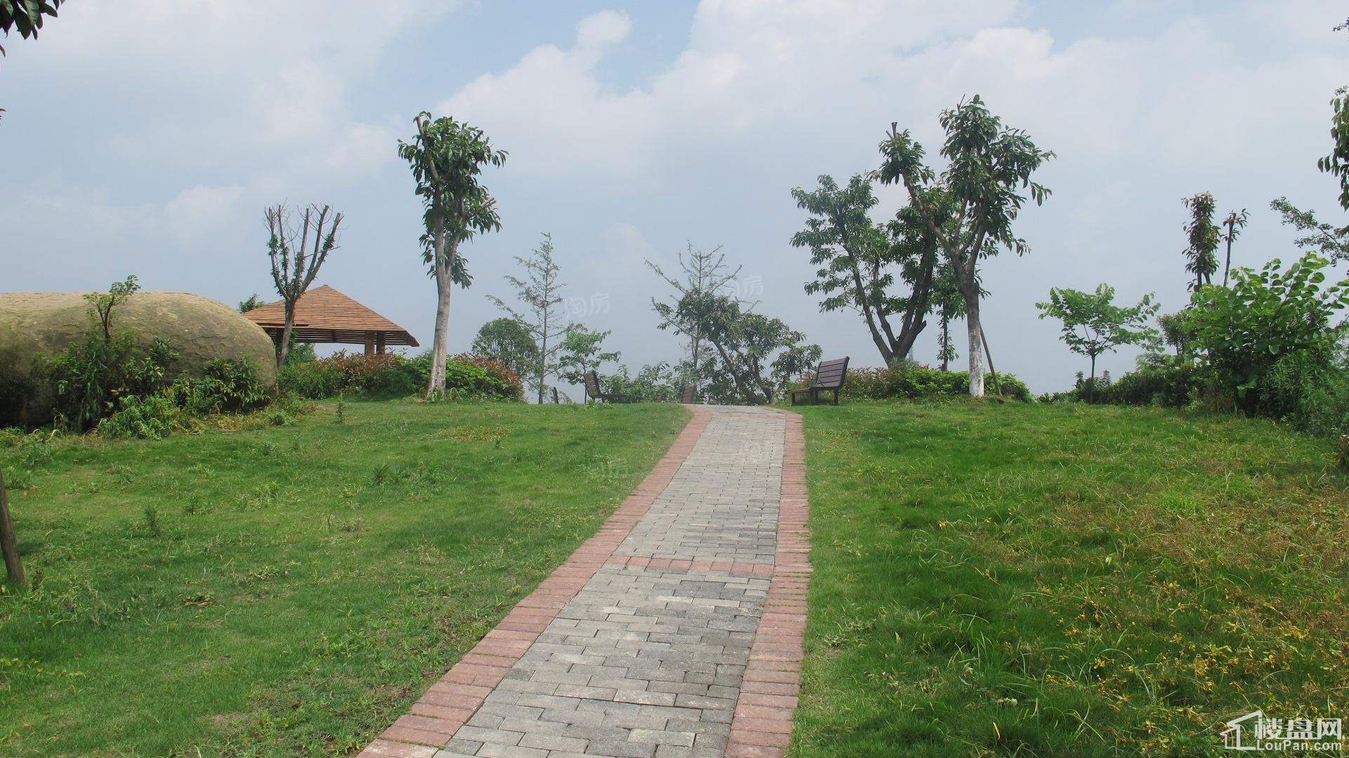 建工悦城实景图