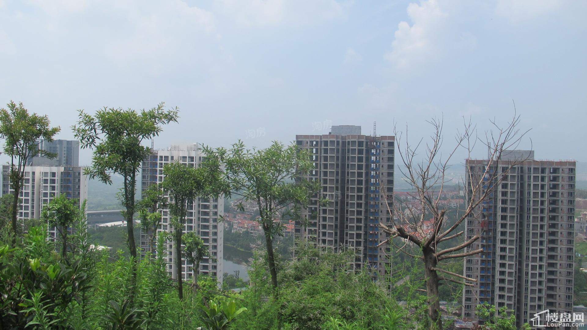 建工悦城实景图