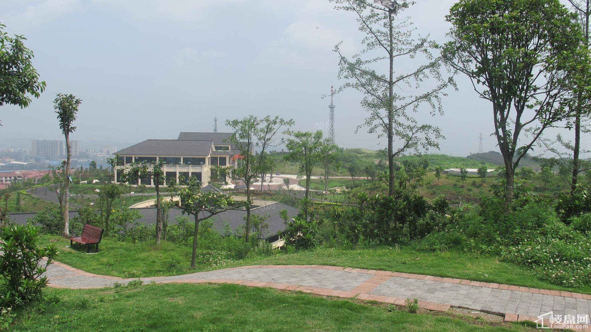 建工悦城实景图