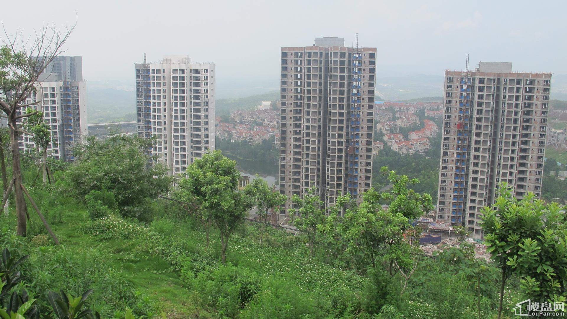 建工悦城实景图