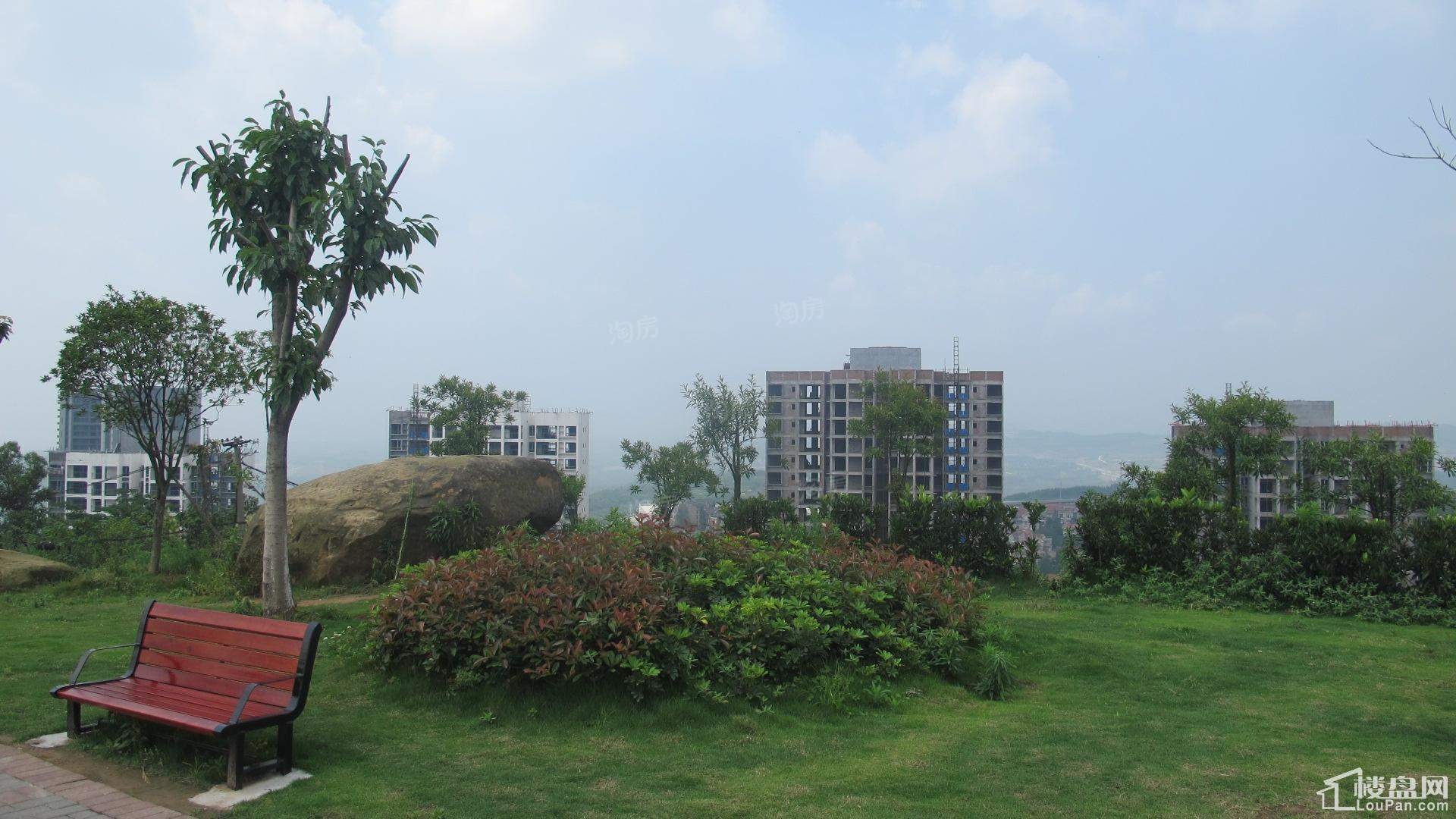 建工悦城实景图