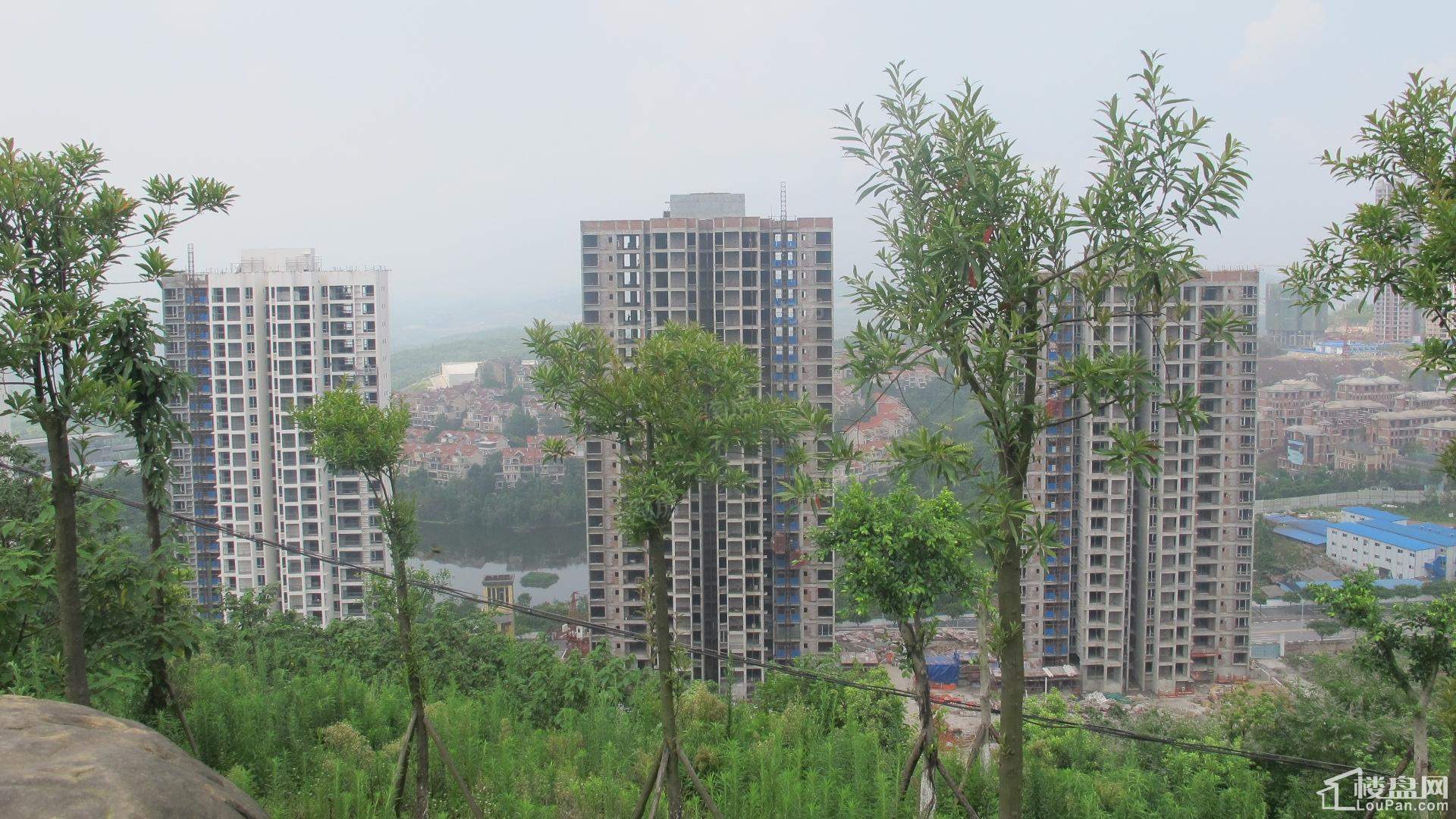 建工悦城实景图