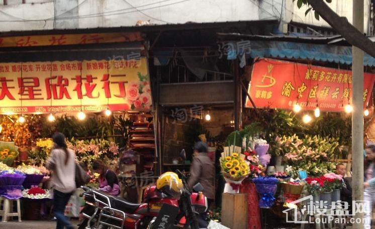 财信半岛铂寓配套图