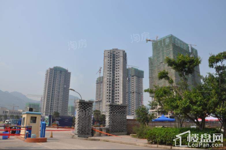 宝嘉花与山 实景图