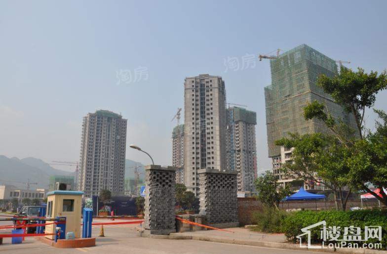 宝嘉花与山 实景图