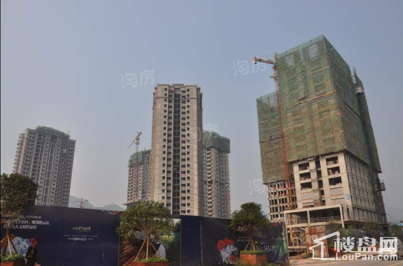 宝嘉花与山 实景图
