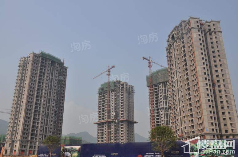 宝嘉花与山 实景图