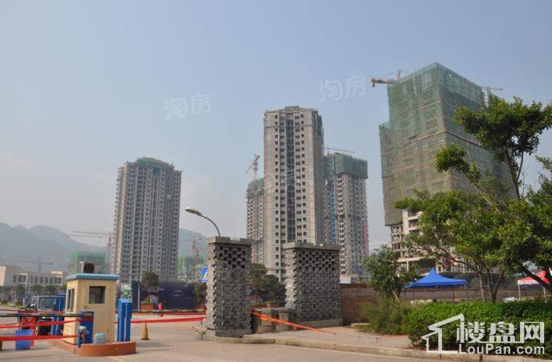 宝嘉花与山 实景图