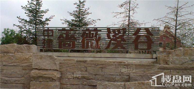 中建蔷薇溪谷实景图