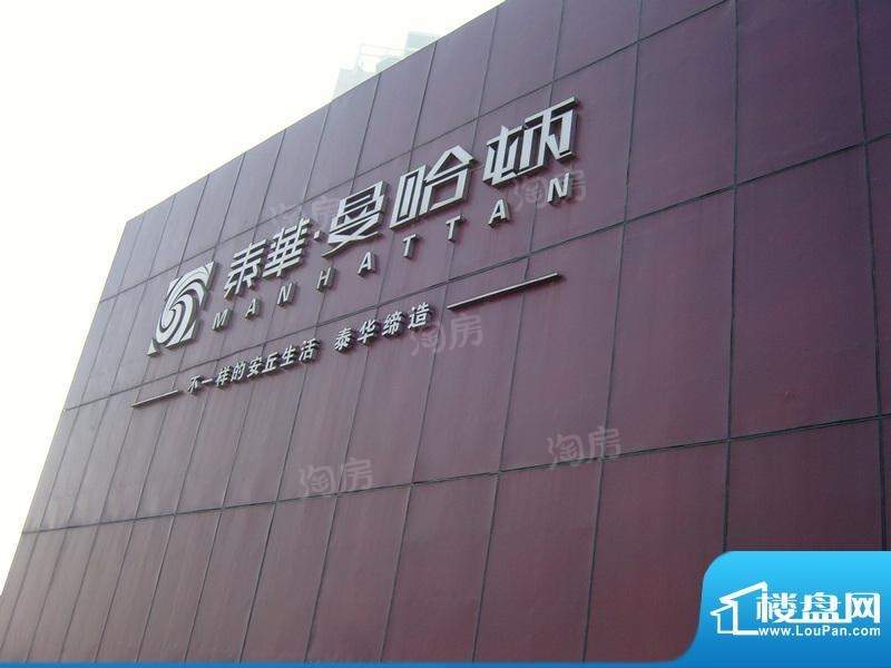 泰华曼哈顿实景图