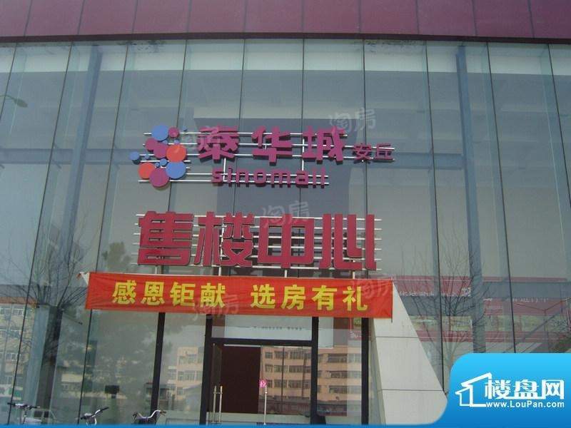 泰华曼哈顿实景图