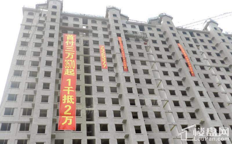 实景图