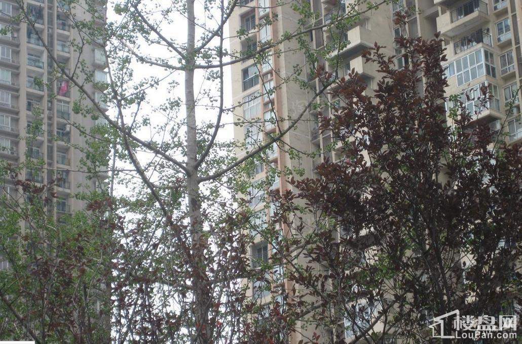 保利爱尚里 实景图