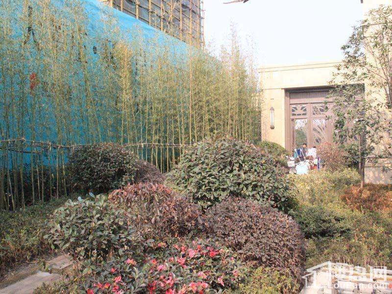 象屿品城实景图