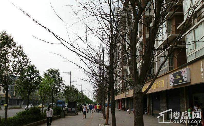 周边配套图
