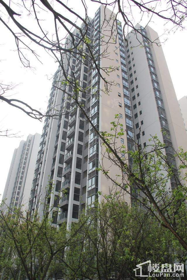 金隅时代都汇 实景图